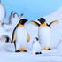 MAOMIA Cute Ocean Animal Penguin Model Collection Playset, Realistic Penguin Figurines for Easter Eggs Cake Toppers