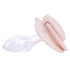 3 Pack Littleforbig Smallshield Adult Sized Paci - Blue Pink Ivory