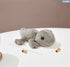 Geckos Lizard Plush - Lifelike 12cm Geckos Lizard Stuffed Animal, Soft Lizard Animals Model Dolls
