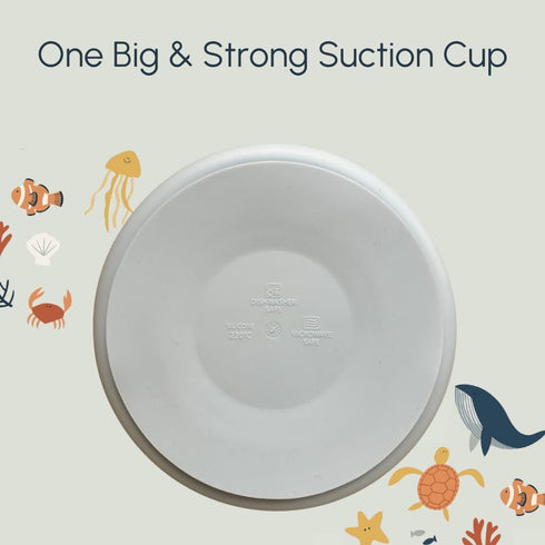 Studio Merveille 6-12 1-3, Silicone Suction Plates with Dividers - Grip Plates for Babies Months and Toddlers Toddler