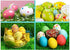 Fane 6Pcs Wooden Faux Fake Eggs, Children Play Kitchen Game Food Toy - Log Color