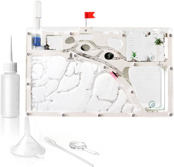 Ant Farming Castle, Educational Habitat Science Learning Kit for Live Ants, Toy Kit for Kids