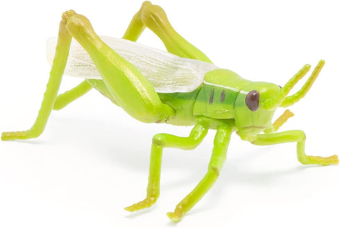 Papo Hand-Painted Wild Animal Kingdom Grasshopper Figurine 50268, Collectible for Children 3+