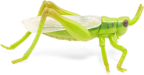 Papo Hand-Painted Wild Animal Kingdom Grasshopper Figurine 50268, Collectible for Children 3+