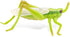Papo Hand-Painted Wild Animal Kingdom Grasshopper Figurine 50268, Collectible for Children 3+