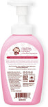 15.21 Oz Arau Baby Unscented Foam Bottle Wash, Natural Plant Based Baby Bottle & Dish Soap, No Artificial Fragrance