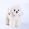 CU-MATE 12" Plush Poodle Dog Toys, Simulation-Realistic & Lifelike Soft Stuffed Animal