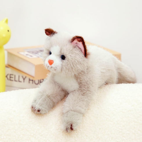9.8" PEACH CAT Cat Stuffed Animal Realistic Kitten Plushies Soft Plush Toys Gifts for Kids Grey and White