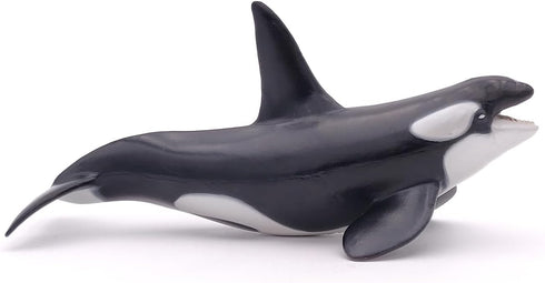 Papo Hand-Painted Figurine - Marine Life Killer Whale Figure 56000 - Collectible for Boys and Girls - Ages 3+