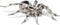Papo Hand-Painted Wild Animal Kingdom Tarantula Figurine 50190 - Collectible for Children Ages 3 and Up