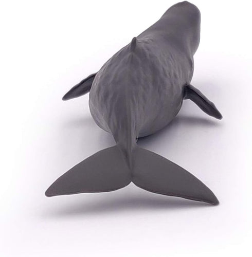 Papo Hand-Painted Figurine - Marine Life Sperm Whale Calf - 56045, Collectible for Children, Suitable for Boys and