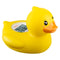 b&h Baby Thermometer, Infant Floating Toy Safety Temperature Thermometer (Winking Duck)