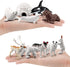 Mini Arctic Animals Figurines Set, 10pcs Realistic Plastic Arctic Toy Figures for Kids Birthday Gift