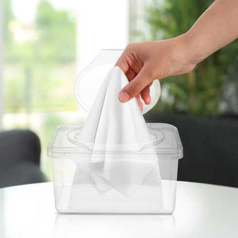HAKIDZEL 4pcs Refillable Wipes Dispenser Container with Lid Dustproof Pp Plastic Wipe Storage Box for Home and Travel