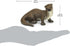 3" 3+ Safari Ltd. River Otter Figurine - Realistic Wildlife Figure - Educational Toy for Boys, Girls, and Kids Ages