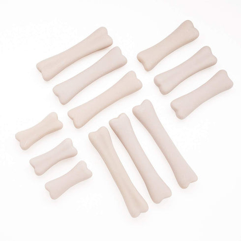 Yellow Door YUS1038 Set (Pack 12) Dinosaur Bones Discovery