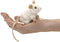 Folkmanis Mini White Mouse Finger Puppet - One Size