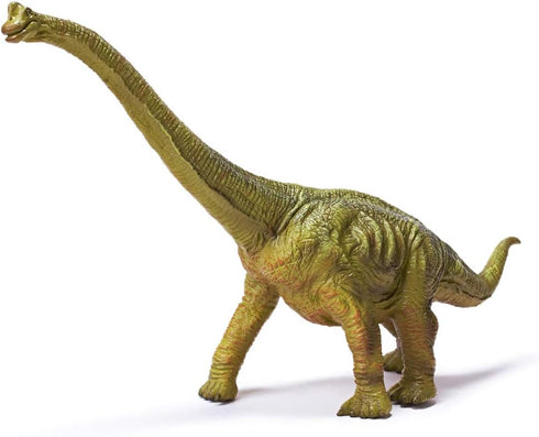 RECUR 13" Brachiosaurus Dinosaur Toy - Jurassic Figure for Kids, Safe Odorless Hand-Painted Collectors Gift