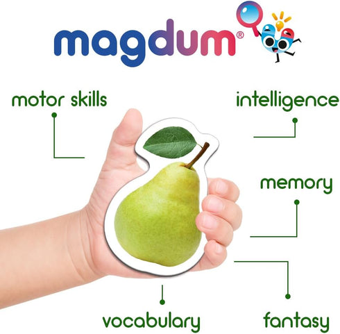 PHOTO FRUITs&Berries - Large Kitchen Magnets for Toddlers - Educational Learning Toys for Kids, Development Magnets