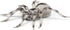 Papo Hand-Painted Wild Animal Kingdom Tarantula Figurine 50190 - Collectible for Children Ages 3 and Up