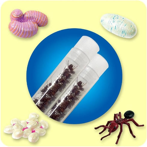 Insect Lore Two Tubes of Live Ants - 50 Live Harvester Ants with Ant Life Cycle Stages Figurines