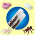 Insect Lore Two Tubes of Live Ants - 50 Live Harvester Ants with Ant Life Cycle Stages Figurines