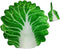 Toddmomy Baby Swaddle Blanket Cabbage Photo Blankets with Hat, Unisex Blankets for Newborn Toddler Green