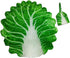 Toddmomy Baby Swaddle Blanket Cabbage Photo Blankets with Hat, Unisex Blankets for Newborn Toddler Green