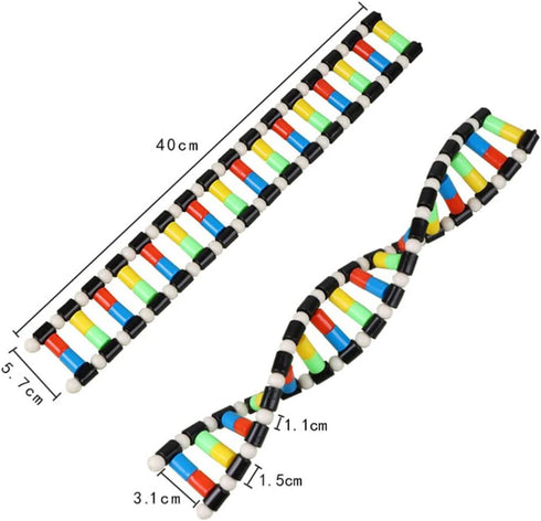 ibasenice DNA Model Kit, Double Helix Assembling Instrument for Science Class, 3D Teaching Tool for Kids