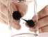 Amazing Ferrofluid Magnetic Display in a Bottle, Magnetism Science Kits by C&H Solutions
