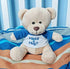 Super Cute and Cuddly 6 Inch Plush Mini Teddy Bear with Need a Hug? Message T-Shirt, Great for Gift Baskets
