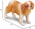 CollectA Cavalier King Charles Spaniel - Realistic Toy Figure