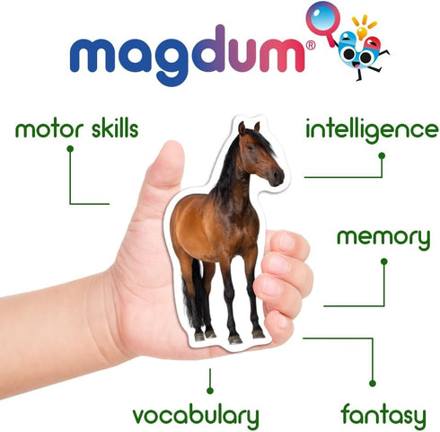 Fridge Magnets for Toddlers - Magdum, 16 Farm Animal Magnets for Refrigerator, Educational Gift for Kids