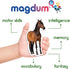 Fridge Magnets for Toddlers - Magdum, 16 Farm Animal Magnets for Refrigerator, Educational Gift for Kids