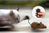Greatstar Wireless Remote Control Rat Toy - Electronic Mouse - Best Gift for Cats, Dogs, Kids & Curious Children