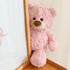 Gjlzfwbx 10inches Teddy Bear Plush Toy, Teddy Bear Stuffed Animal Birthday for Kids Girl Friends (Pink)