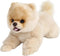 16 Inch- Pomeranian Stuffed Animals Toy Dog,Plush Puppy Realistic Cute Toy Dog