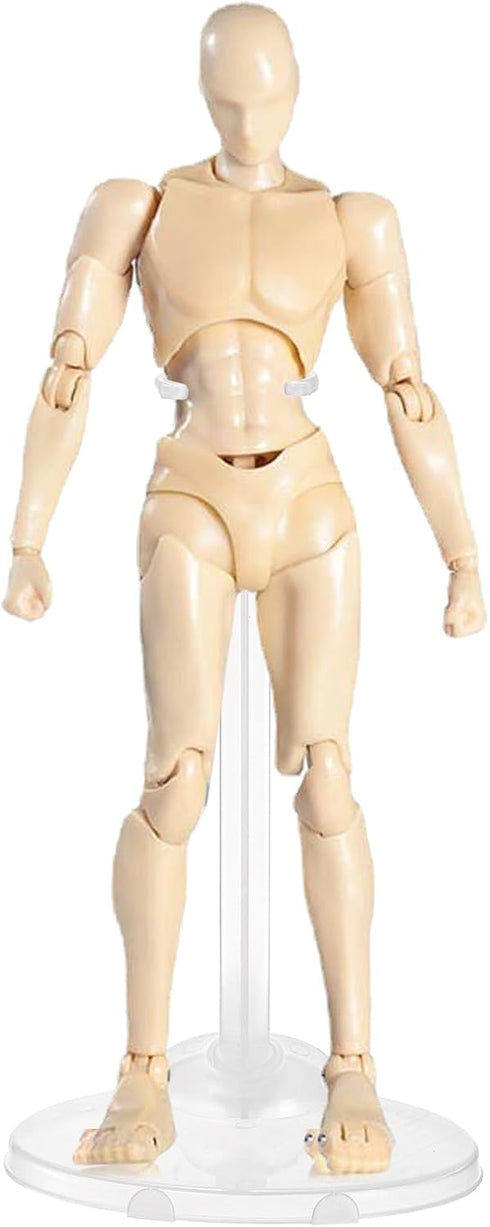 Nicunom 40 Pcs Doll Stand Display Holder, Adjustable Support for 11" to 13" Dolls
