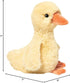 7.5 -Inch Douglas Dennie Duck Plush Stuffed Animal Toy Mini Soft Plush Duck Tall