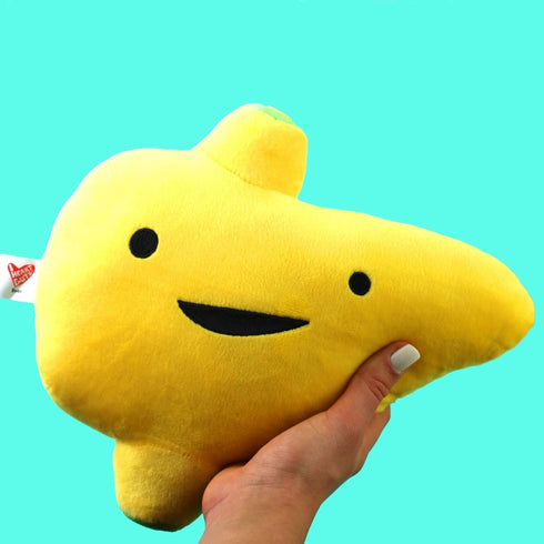 11 I Heart Guts Liver Plush - Im a Liver Not a Fighter - Educational Organ Stuffed Animals - Cancer Awareness