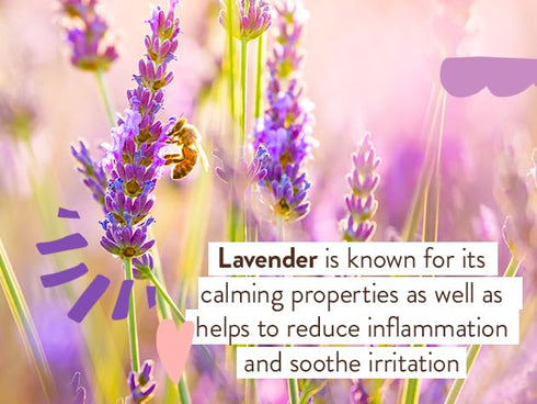 Babo Botanicals Calming Lavender Body Lotion - Relaxing Chamomile & Lavender - Vegan- For all ages- Scented