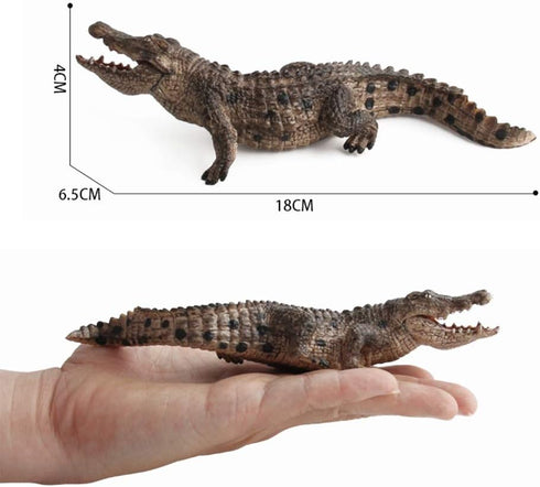 2 Pcs Simulated Crocodiles Model Figure Toy, Realistic Alligator Figurines Collection for Science Educational Props