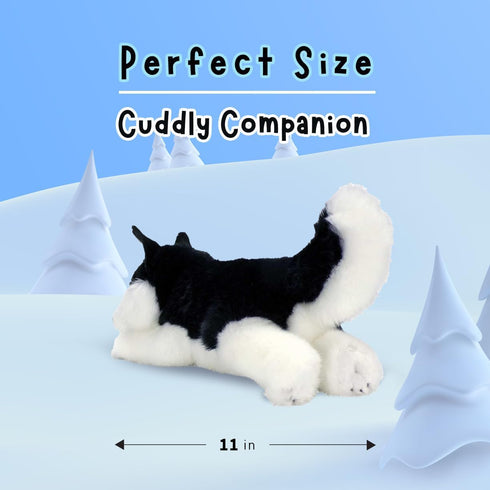 11" Aurora World Miyoni Black Lying Husky Plush - Super Soft Realistic Stuffed Animal Toy