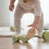 12m+ Pearhead Wooden Turtle Push and Pull Toy, Montessori Shake and Rattle Shell, Baby Walking and Gross Motor