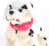 PowerTRC Cute Somersault Little Puppy Pet Toy Dog | Barks, Sits, Walks, and Flips
