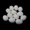 Honbay 12PCS Solid Plastic Simulation Pigeon Eggs Mini Dummy Eggs Hatching Eggs for