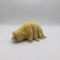TAMMYFLYFLY Lifelike Tardigrade Plush - Water Bear Stuffed Animal Doll