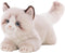 CU-MATE 20 Inch- Gray Ragdoll Cat Plush Stuffed Animal Toys -Realistic Ann