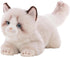 CU-MATE 20 Inch- Gray Ragdoll Cat Plush Stuffed Animal Toys -Realistic Ann