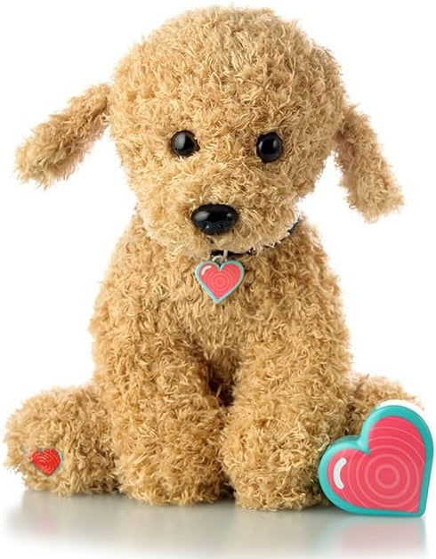 My Baby's Heartbeat Bear - Recordable Stuffed Animal with 20 sec Heart Voice Recorder for Ultrasounds